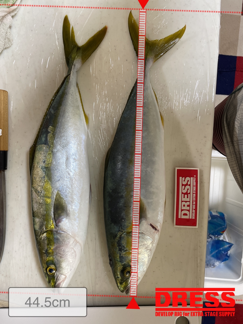 11542_0_af7f8e58b8332ba6ef35ed370bcfb9d7