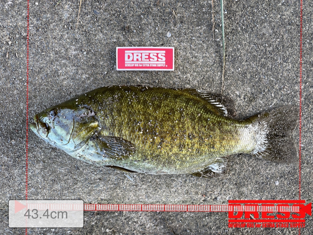 11558_0_44688e556f4c325c9cf59f6f012708df