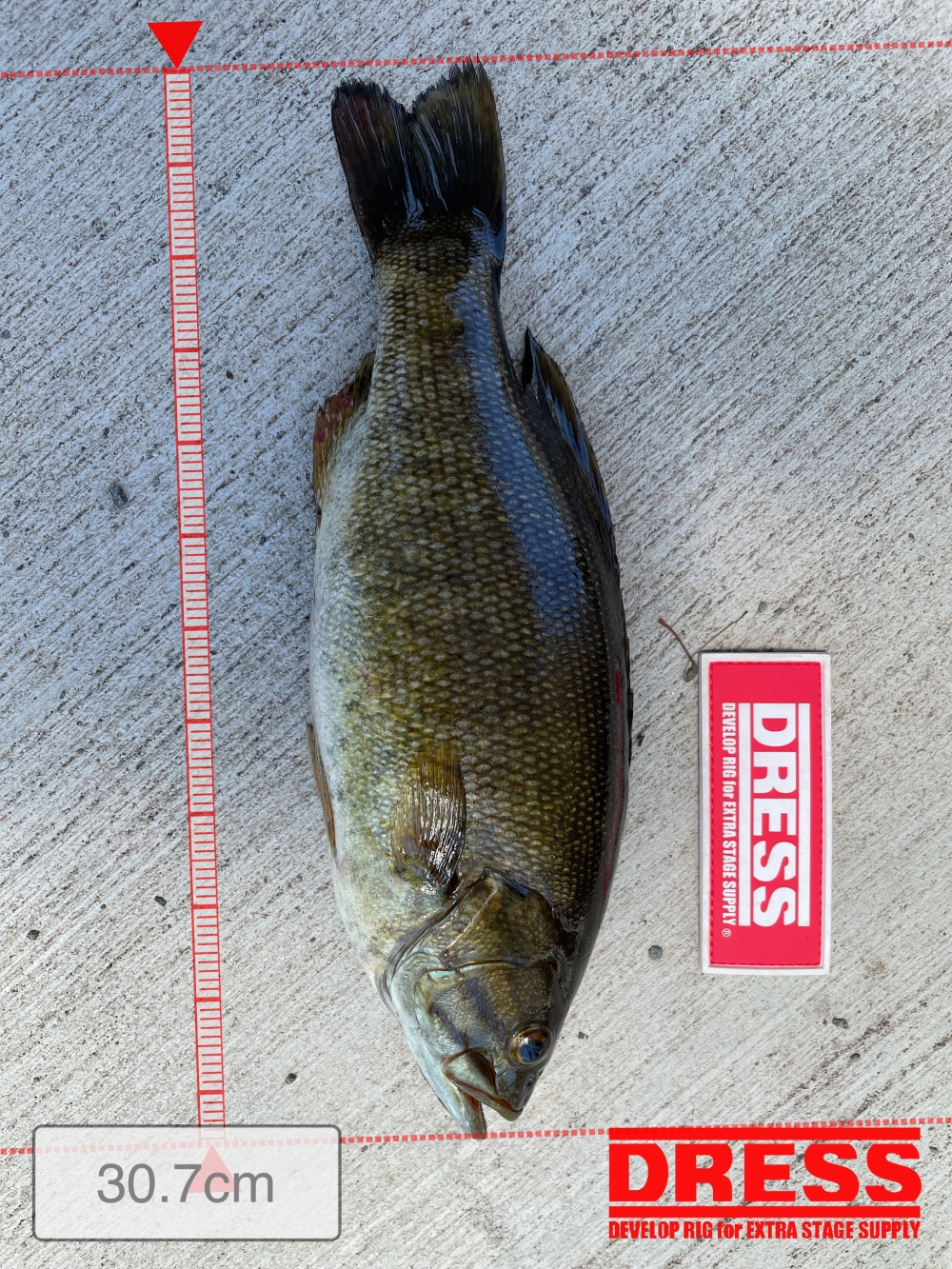 11558_0_4e68884d0ead29d851f6959661d235ba