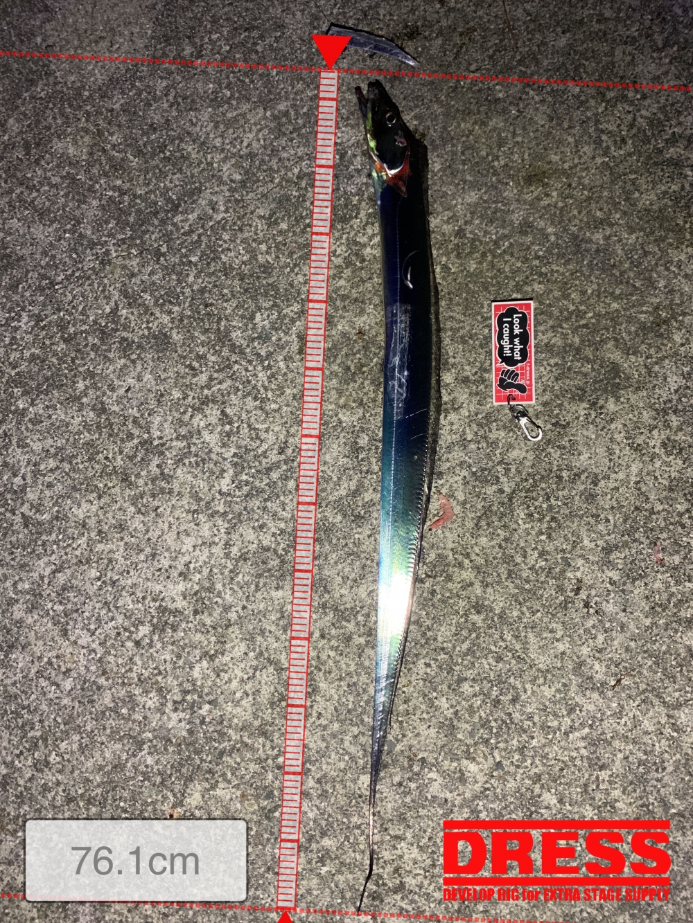 11559_0_0091563a6f8376086b0d22cb2875e1fb