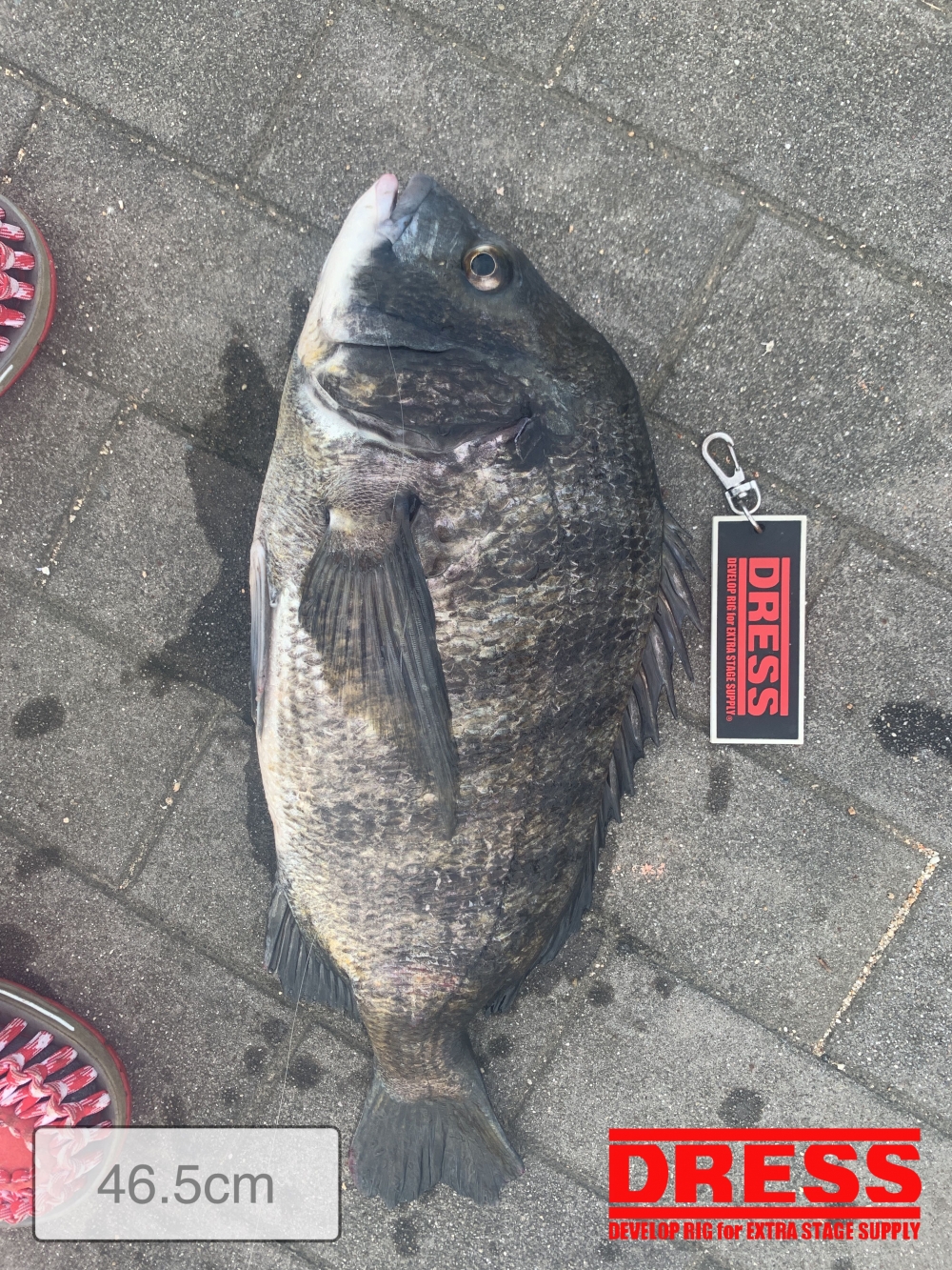 11559_0_0f8b769dd8aee433a2008128c1a5da44