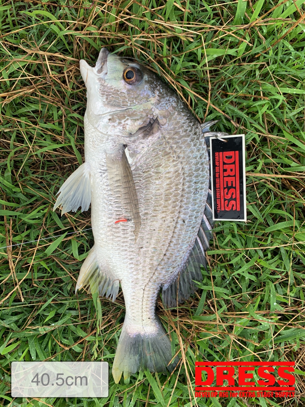 11559_0_13a22e89568ced4ed55b0e6c9cce9411