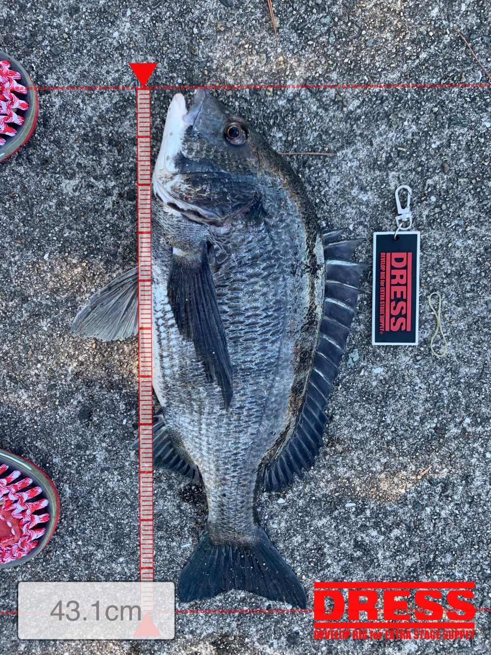 11559_0_2bfec01fca3f0fe2ee9e38336af9e9c9