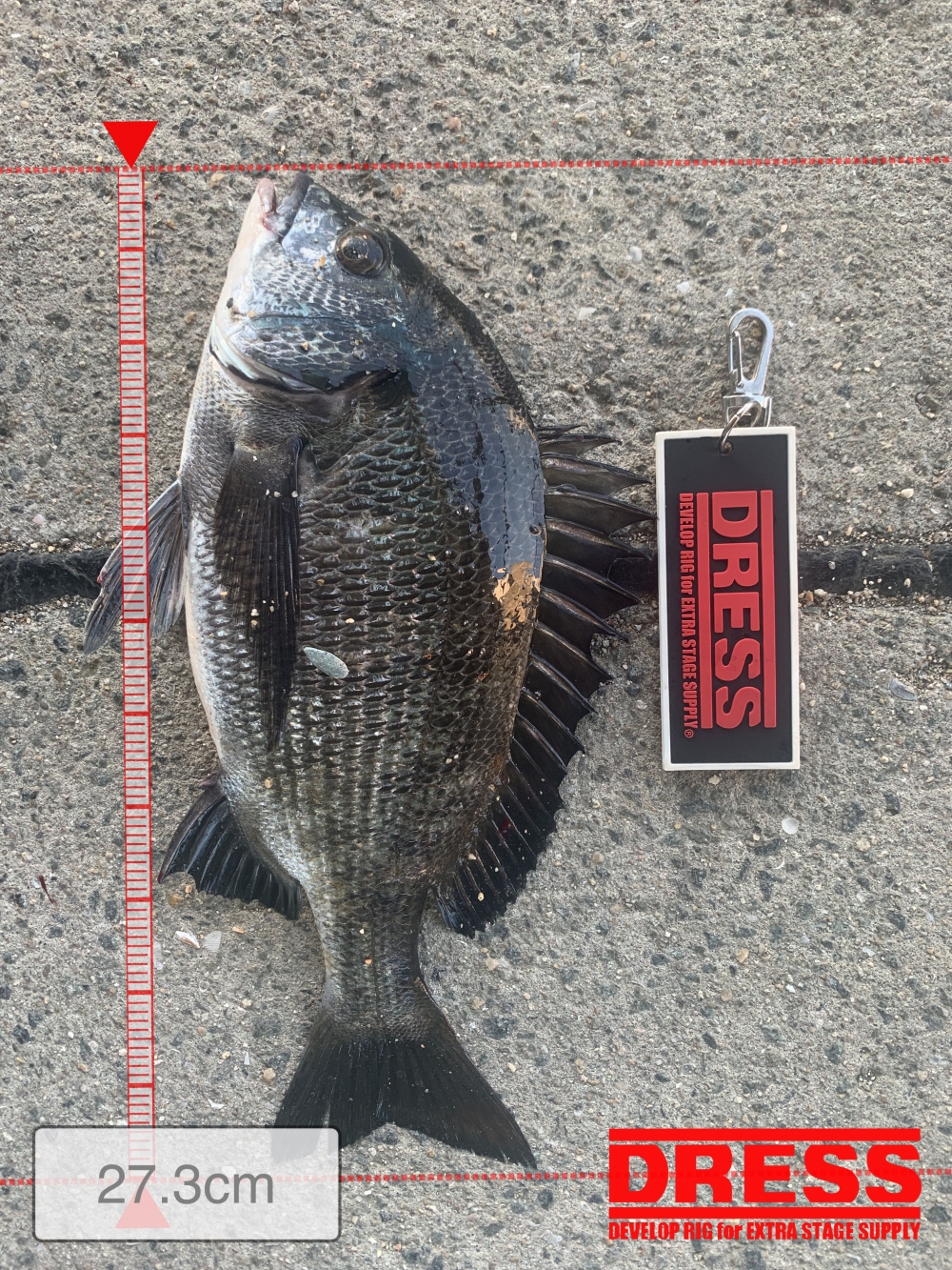 11559_0_347b9f72c5e6635d662d44b6be0c53b3