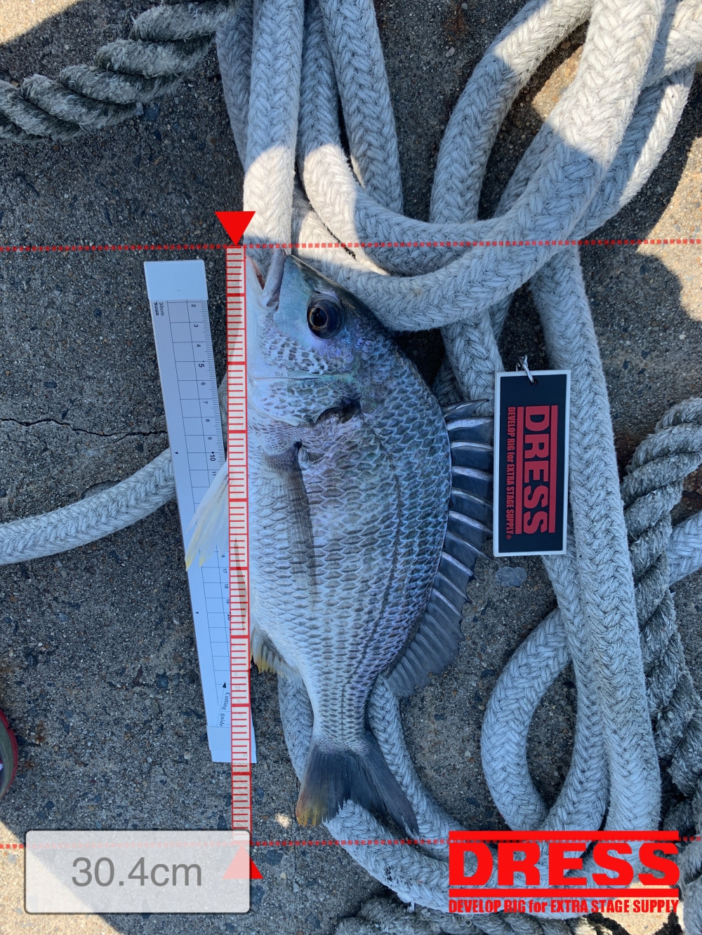 11559_0_5580f45b45a032472262b011220193ee