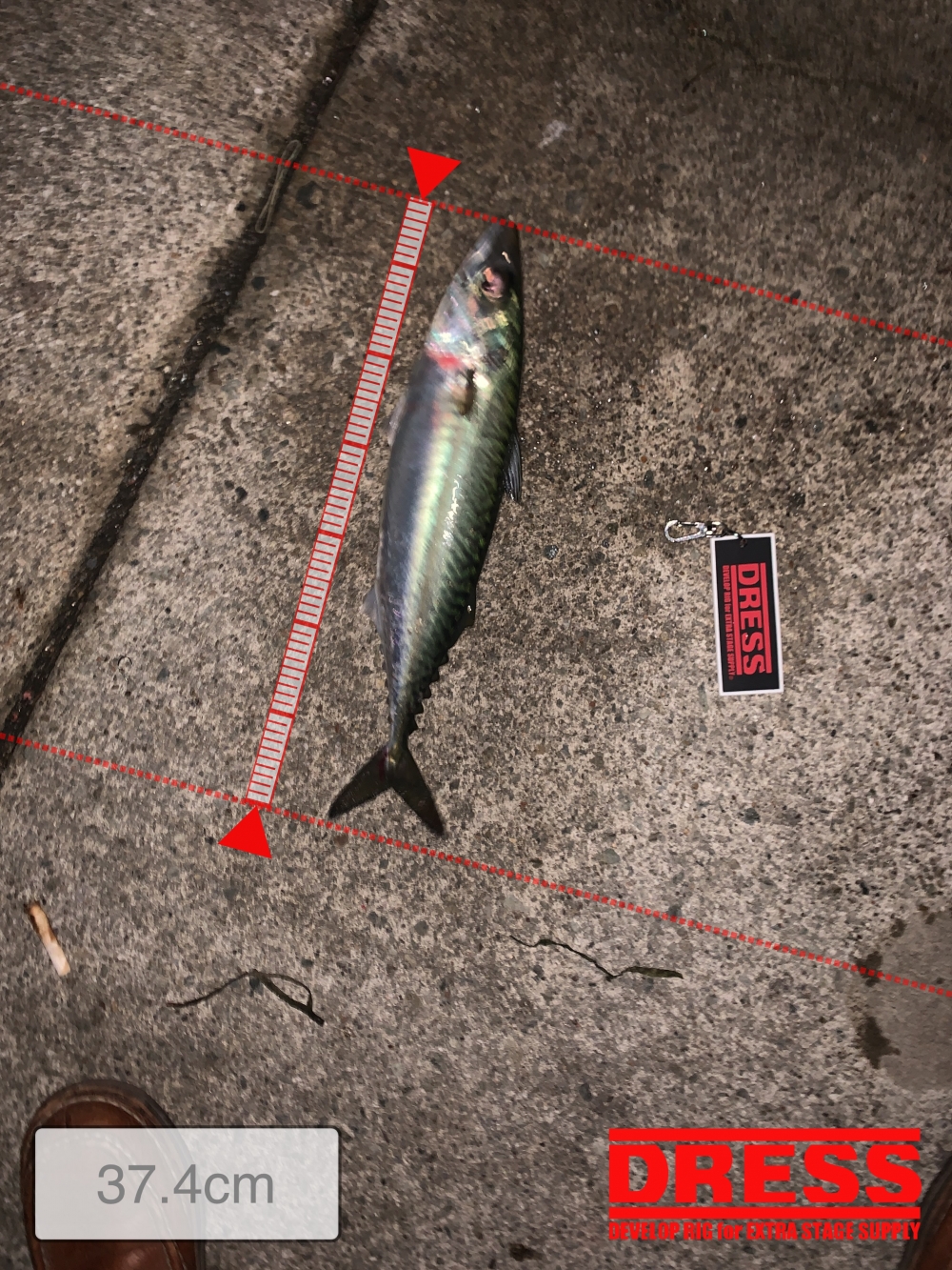 11559_0_5bc928fbd348eef8e3120210dbb120b0