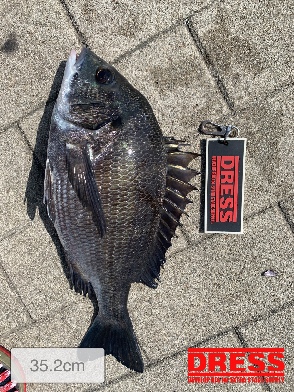 11559_0_5d963c706bf99576d1d2f2963d3e5fb2