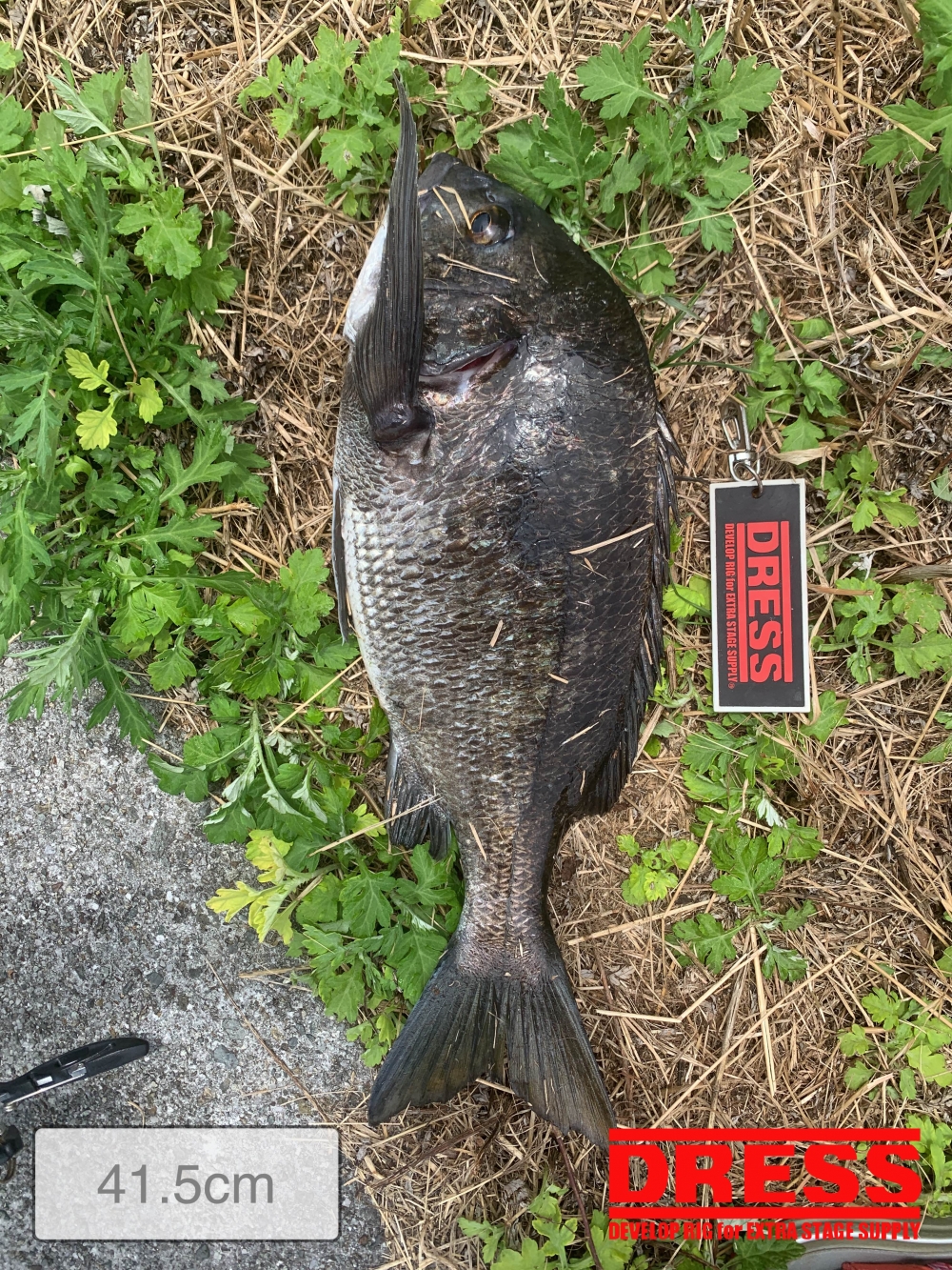 11559_0_5ecf742e1776194bd4ba1f9cbca7cdc6