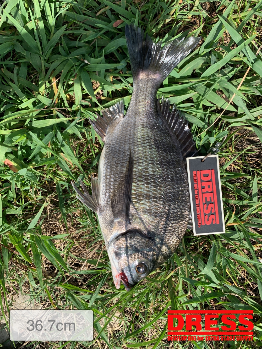 11559_0_6093bdbf776722dd0e5e4e8bbf5b4974