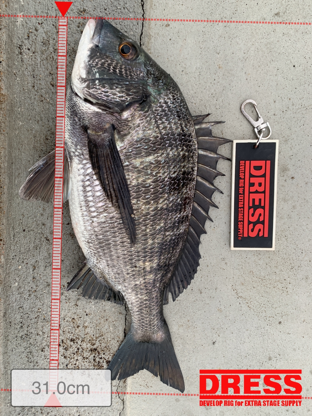 11559_0_6229468ac17e8c3878f91925e7e16bca