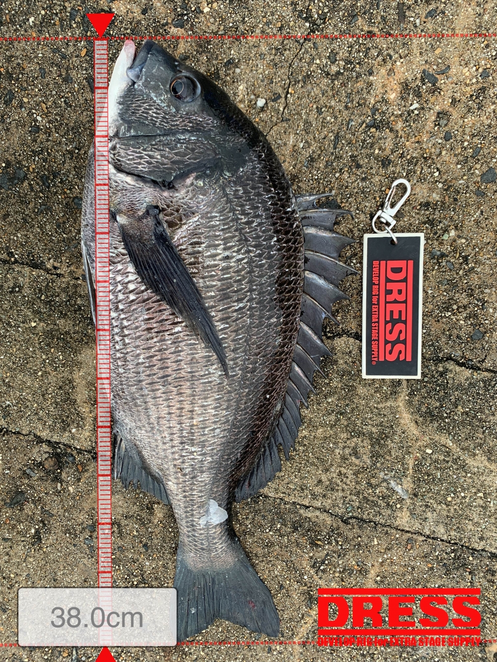 11559_0_68f8371c5e7841b7d64da4debef64fbd