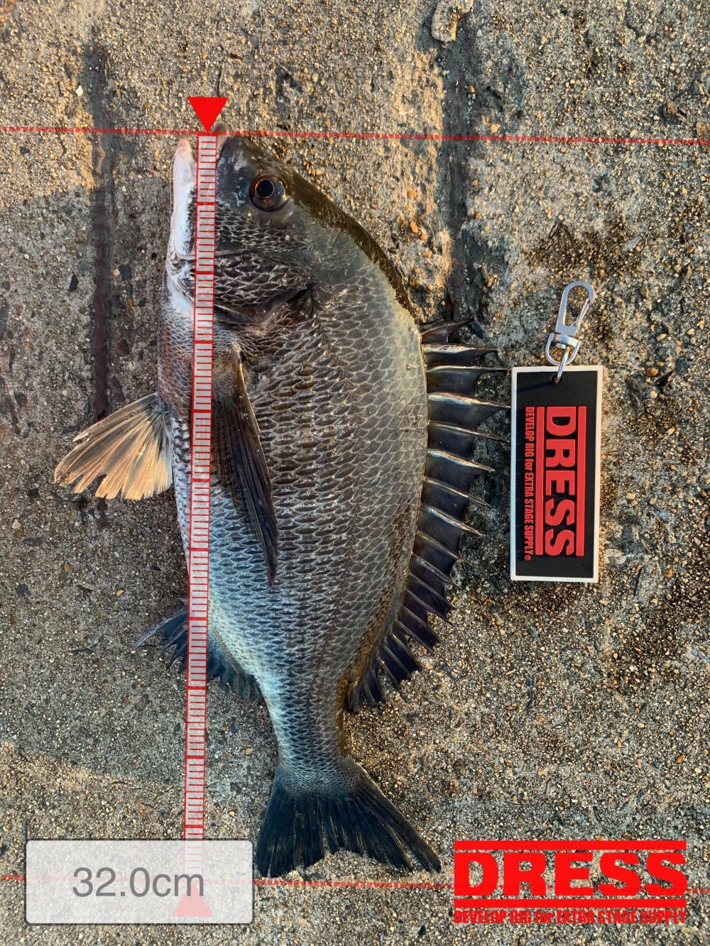 11559_0_6fac245f2b7d08ad770c359da6fad80d