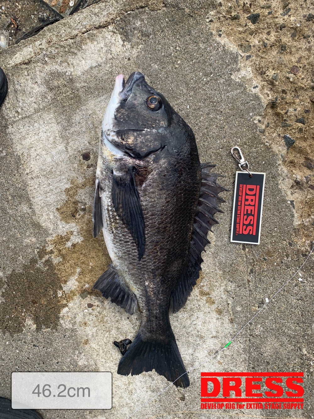 11559_0_72a7e20633c5a2d649a569789cc054f0