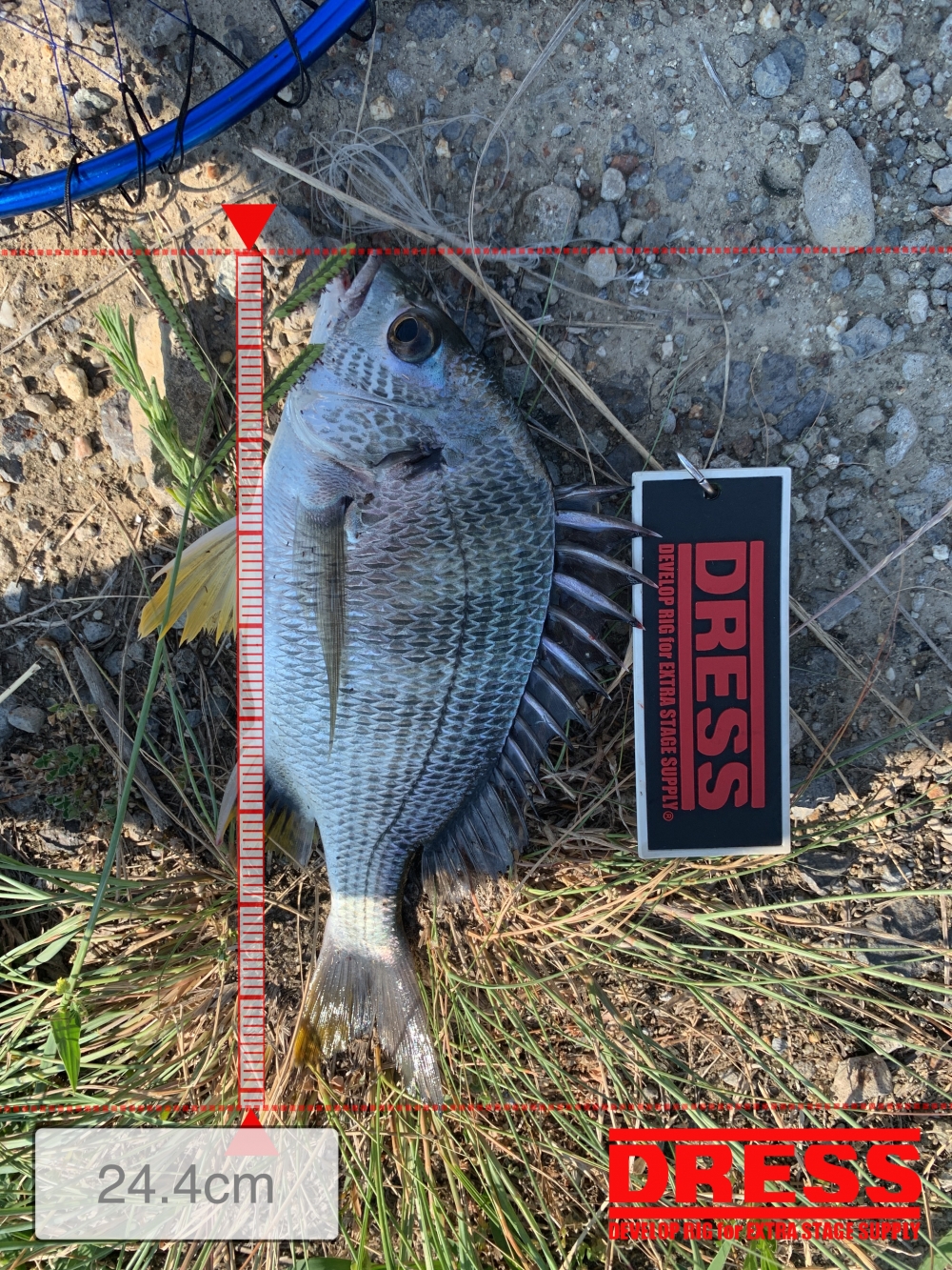 11559_0_7619bc81823ed801d51439e9dc95d936