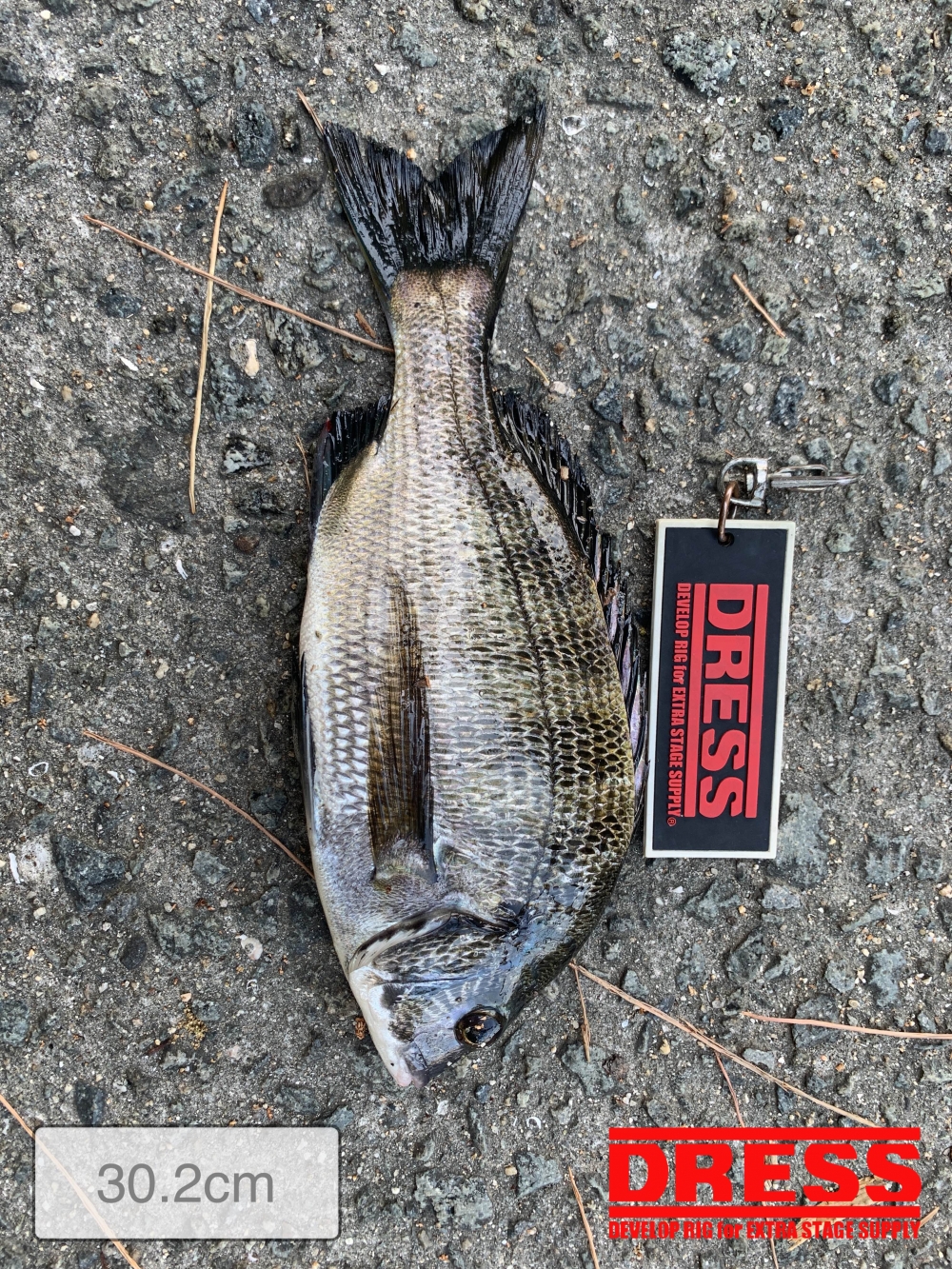 11559_0_7d355e4c3b1c8abc56c0785595fa25bd