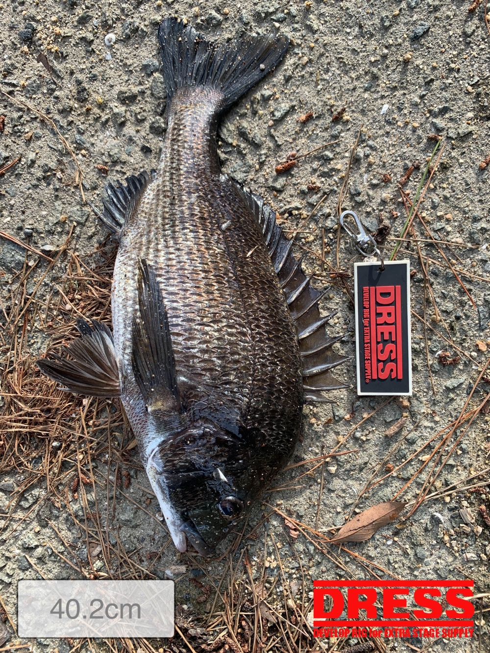 11559_0_9fafeb80640831d7bf8e7e411b4f2fb2