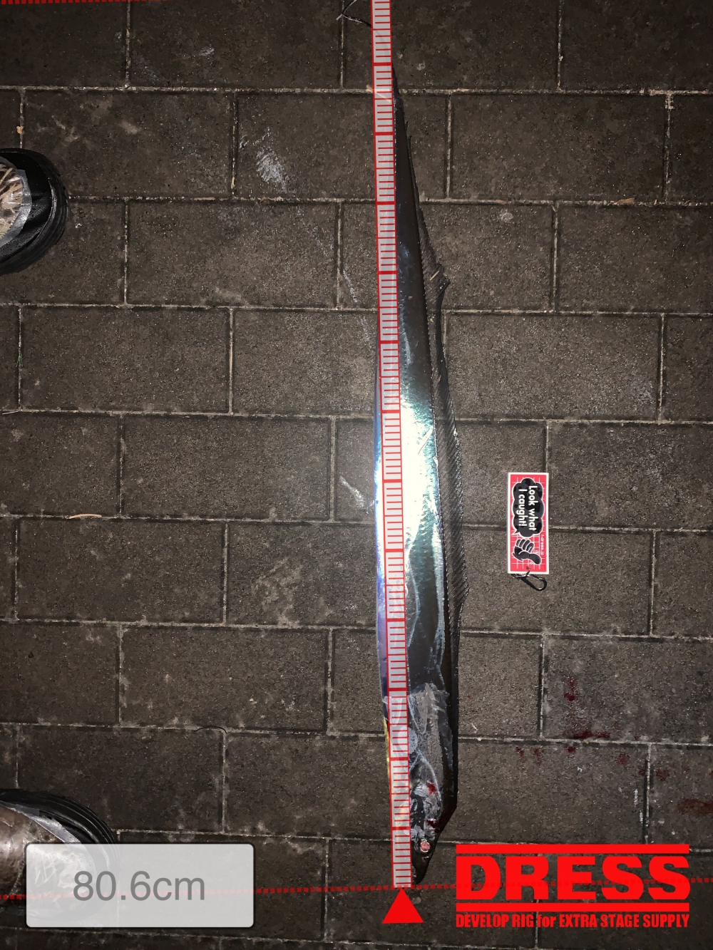 11559_0_a491df745815ba5a35b3262860dde91a