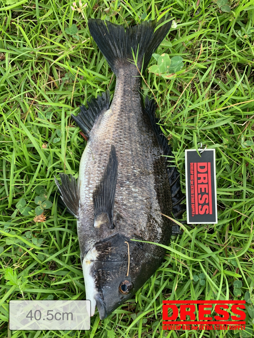 11559_0_a6f49a08ac0a67782896956f07feb28c