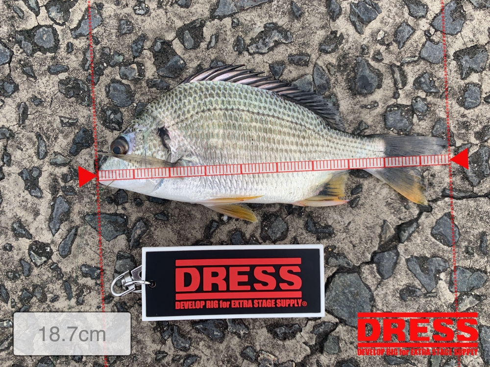 11559_0_b68b1c521da4f690bb7fd543f526251b