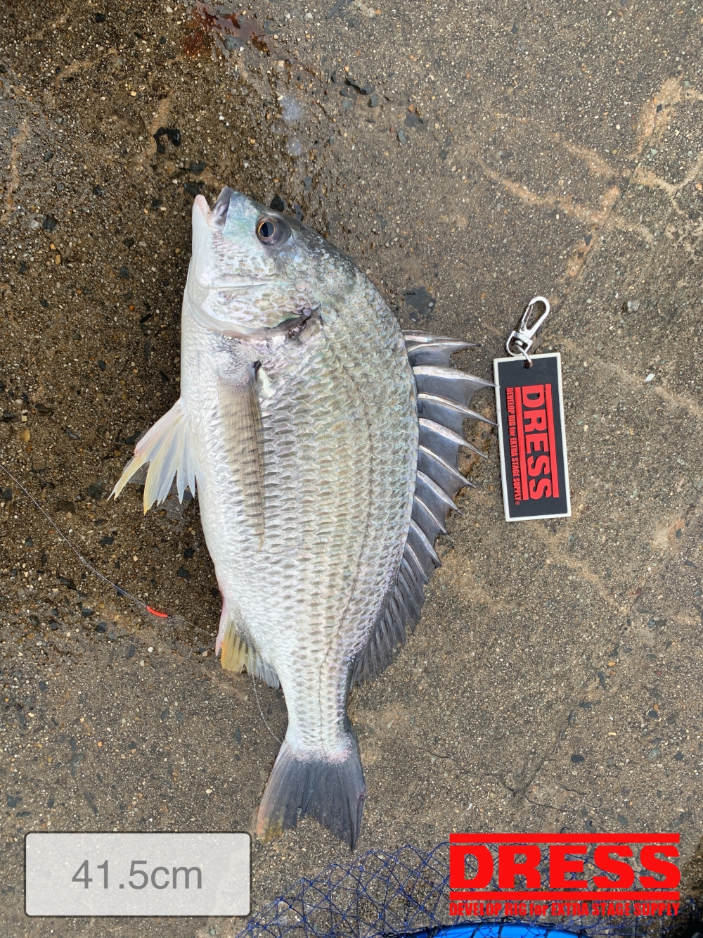 11559_0_b7131e91985a84360dad12c7087d12e4