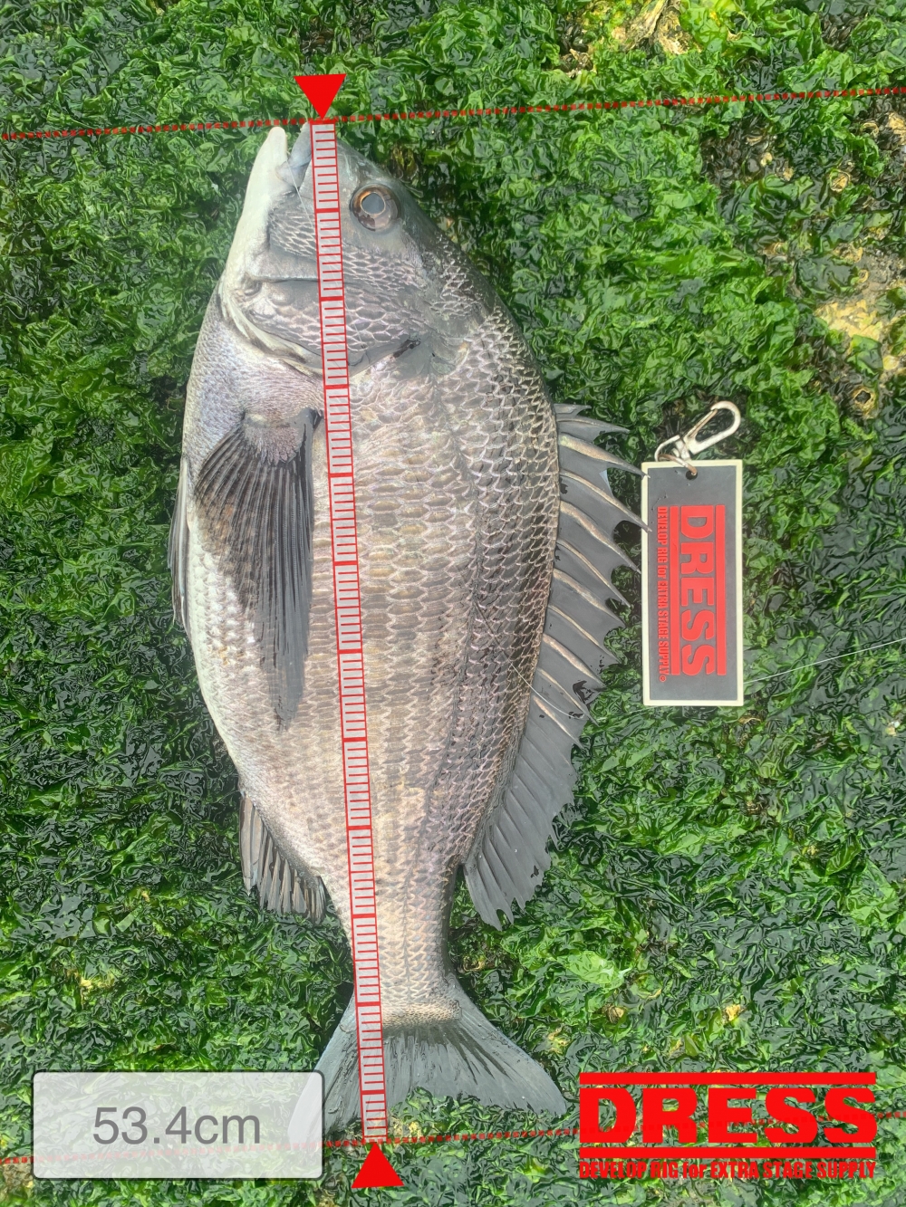 11559_0_b9af79b34b377985feaa6c51e6a9d829