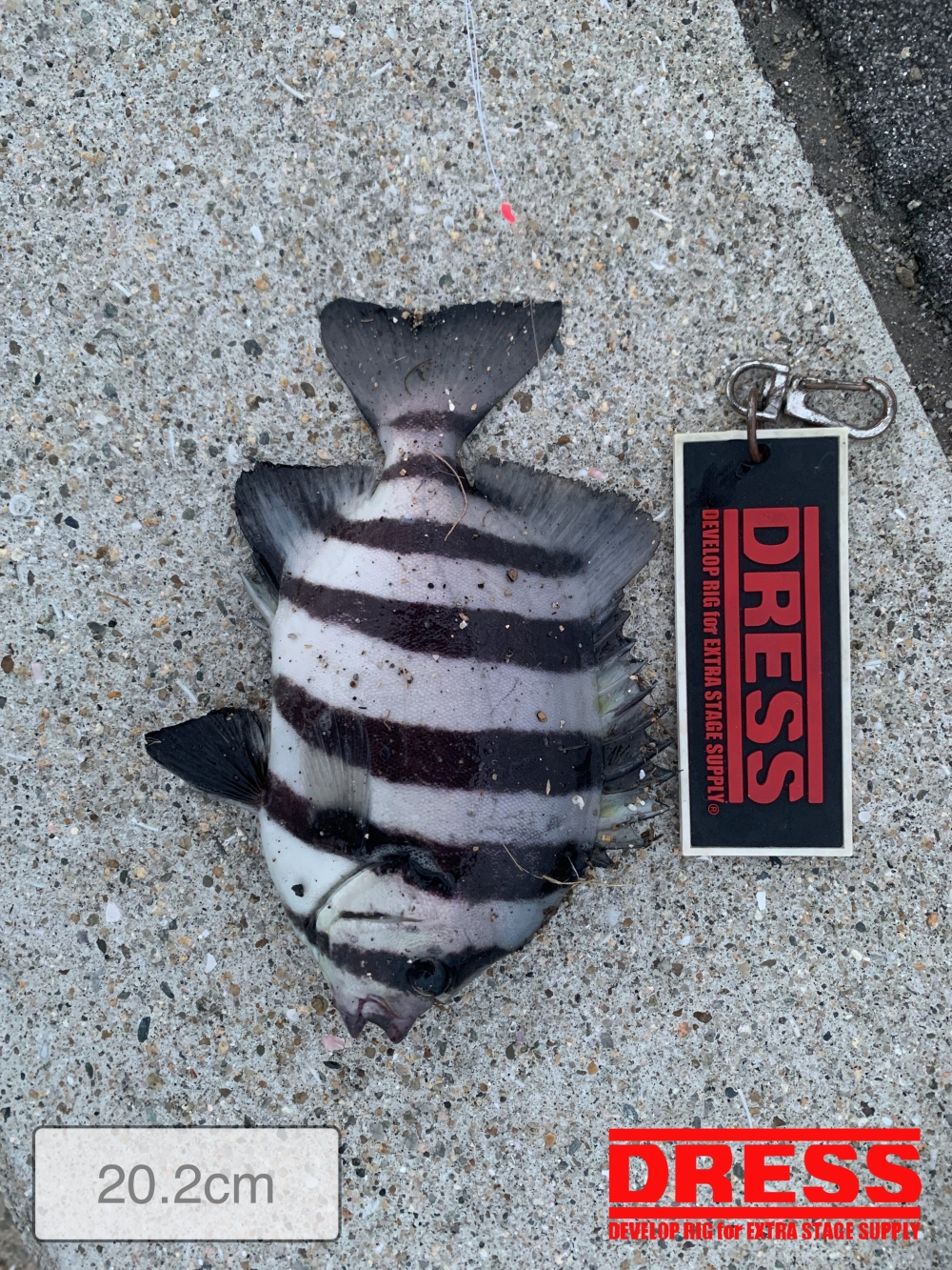 11559_0_d25709e13978cae71fe96c14033f541e