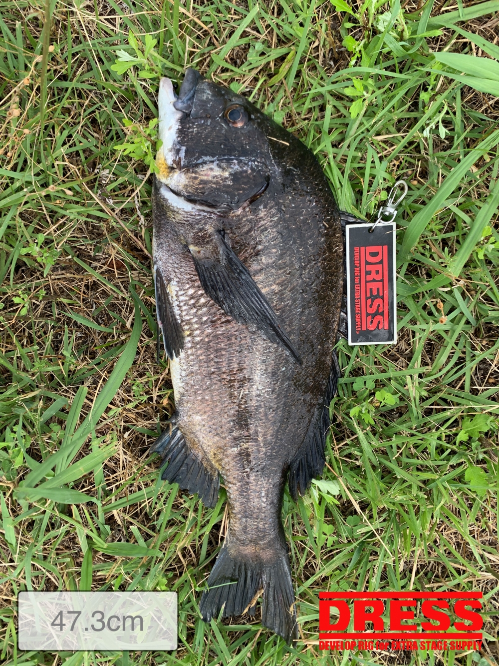 11559_0_d631fd00f2a8db79efb416f1c1c6ce92