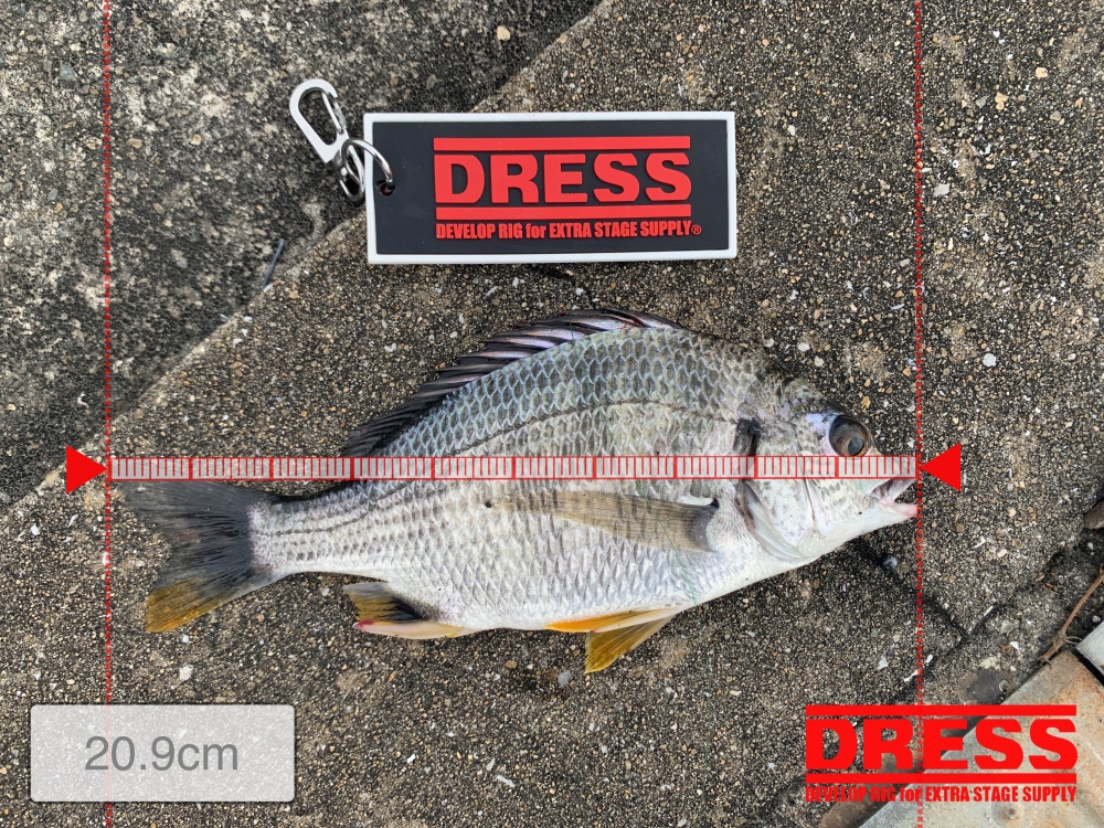 11559_0_da43bff495b533edb271dbcf23ee9bce