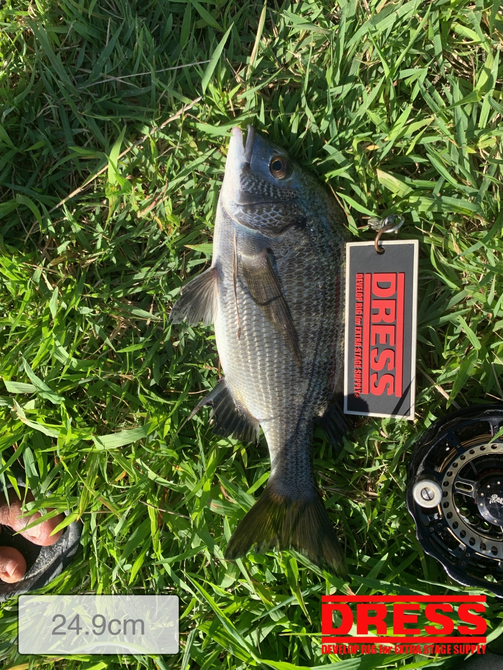 11559_0_e01e54cdb549d4dcdd242f41df89d5ac