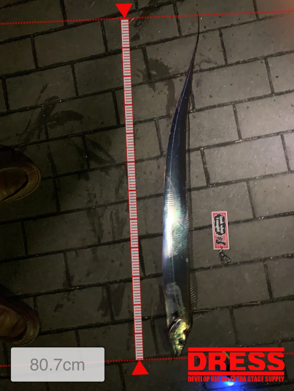 11559_0_e2f401ffc8736d115d9ea0e5ff797b6e