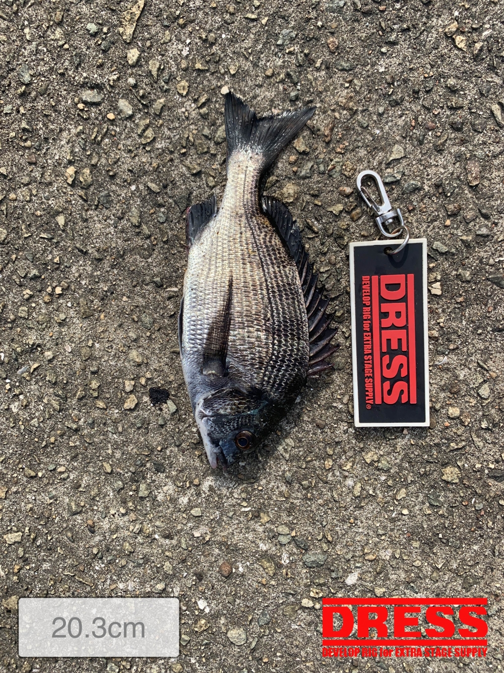 11559_0_e775deff38a22aaeb5275edd8ac64a3a