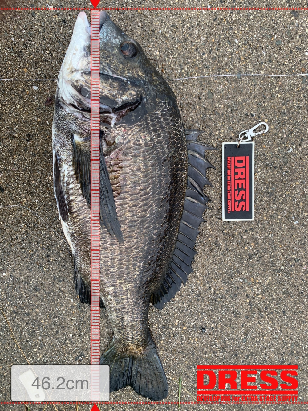 11559_0_e81c16f167845d3405efa3ff6609f880