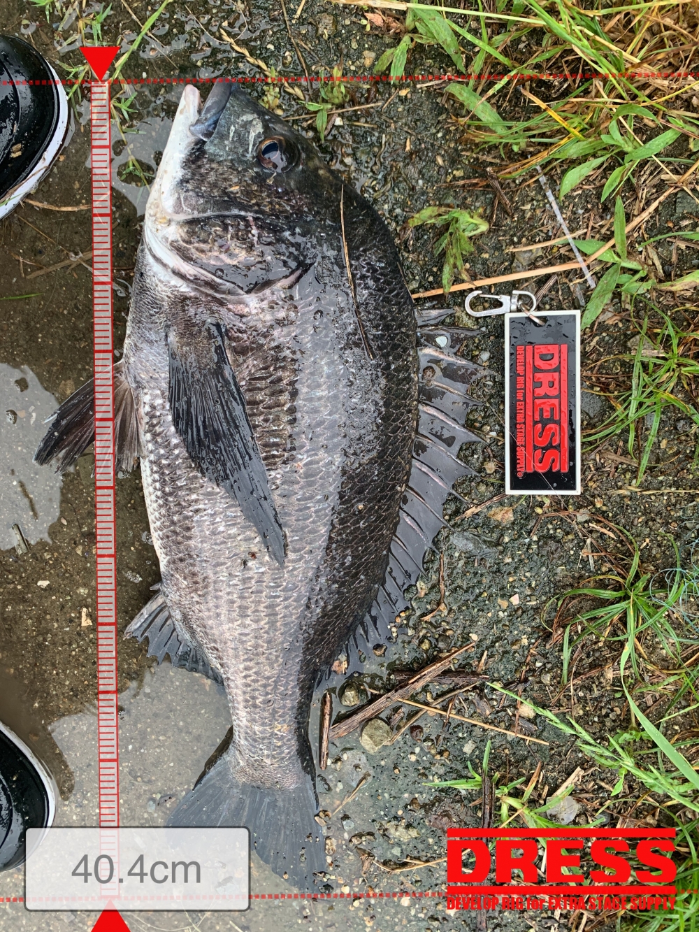 11559_0_fb6d49b456c428f0b3e9888819430708