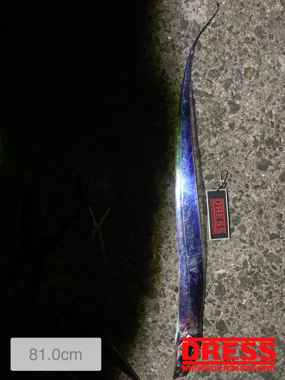 11559_0_ff75ff2d78bc13bbc4ee2e1a522bff31