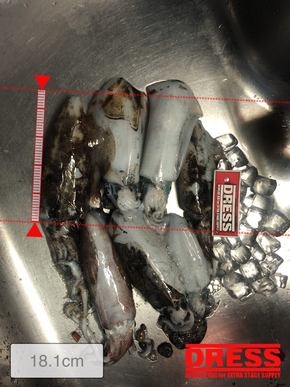 11560_0_1ce767d21ef90d54e53cb7602a75e60c