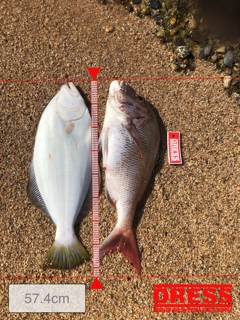 11560_0_27a4bcb3f84b919c356c5035aaf52508