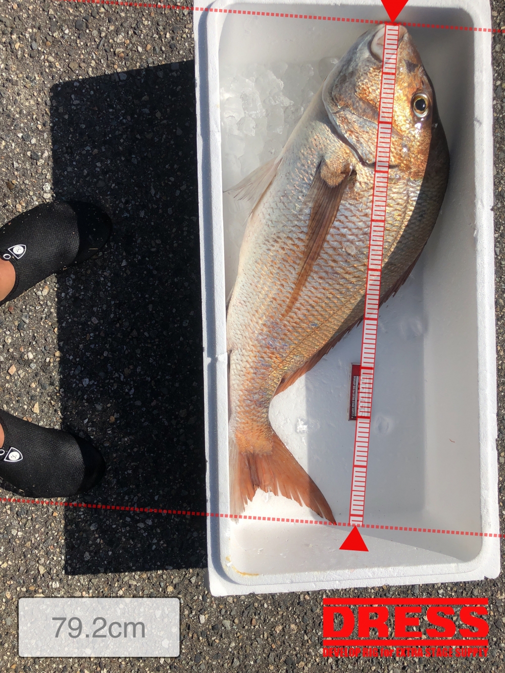 11560_0_903abea3c74a7e0d8f274b8e96ce6585