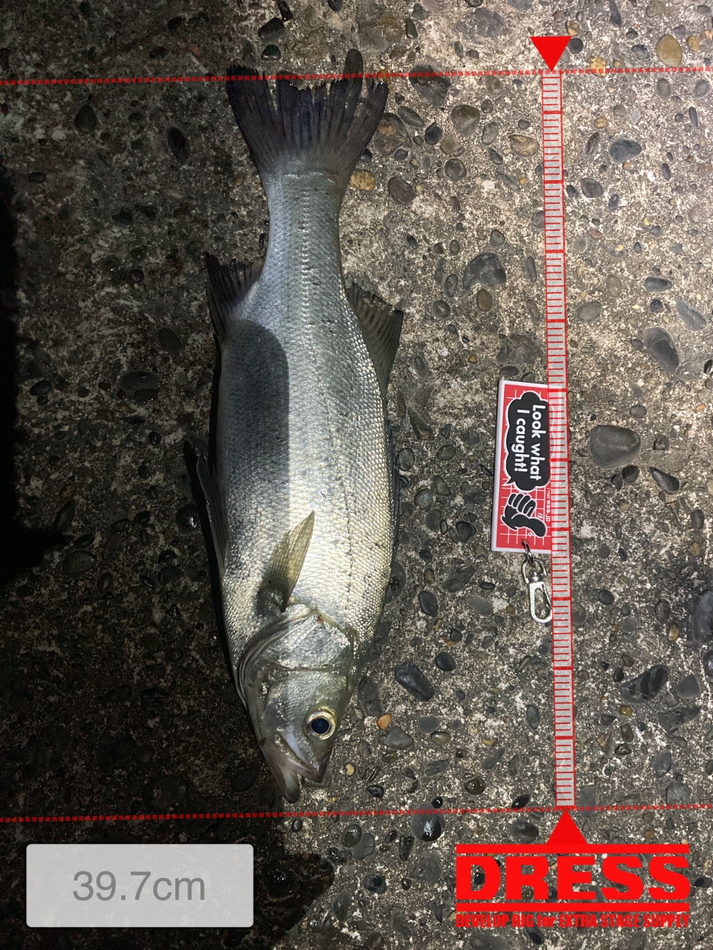 11569_0_9847509b42e03d9caa5f34e2d2896990