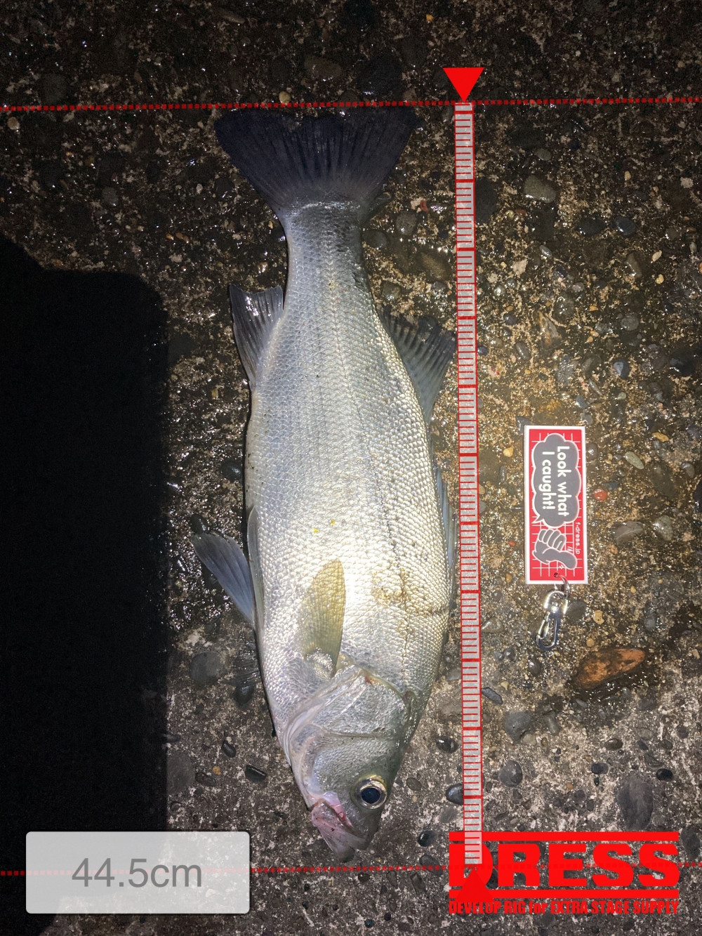 11569_0_999c6f1453d908ca67b2af033a6260db