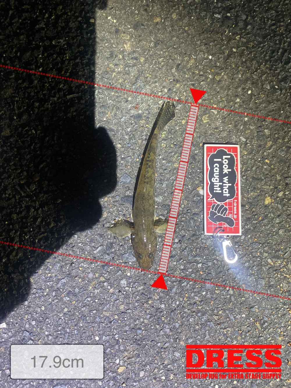 11577_0_782e70107de8feefcbc2138da3970b0f