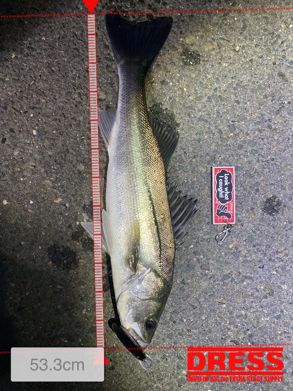 11577_0_b8bef7b706ec868237ddf5b79be402b2