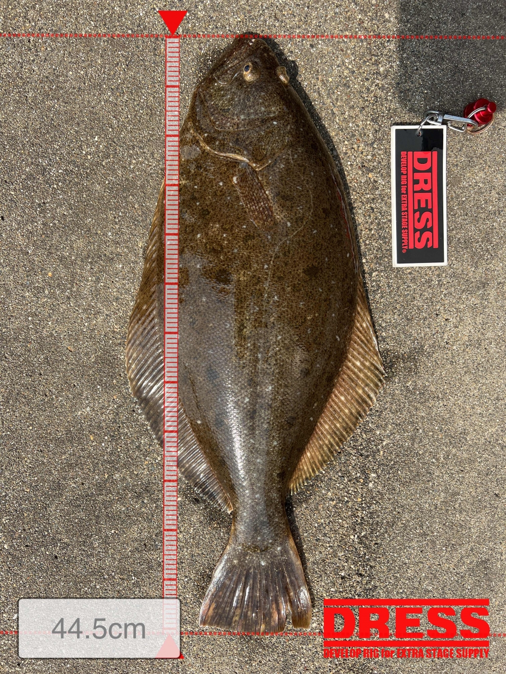 11588_0_5aa95b7ee2b74981b419ea7582cb0a3d