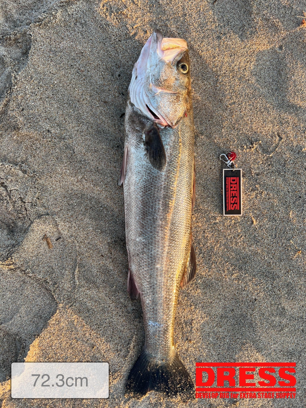 11588_0_65f1a5f404e881dcfe04ee6e82303843