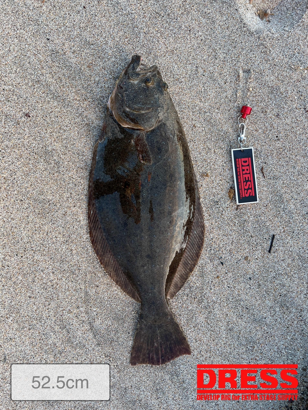 11588_0_c59995ceacadeb80665ff56058d6c5c2