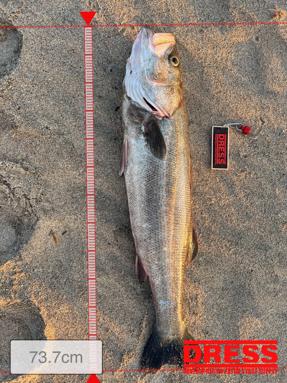 11588_0_dc50bd28fb5e24552fb2eb0ec6500325