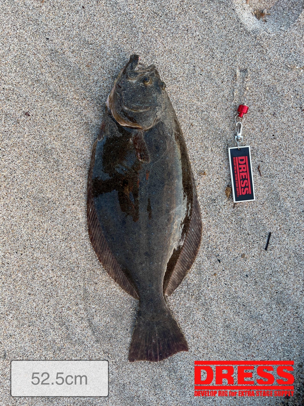 11588_0_e6dba6c70cc108282cd3824226e6b7fe