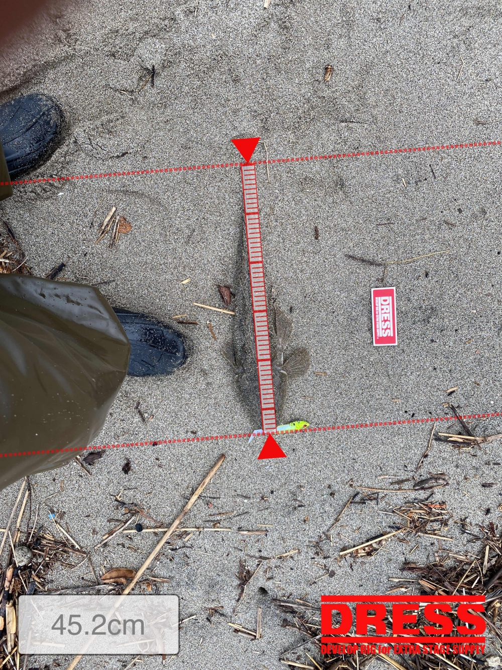 11601_0_4290b5d64edc27421d32afacf7ae19a6