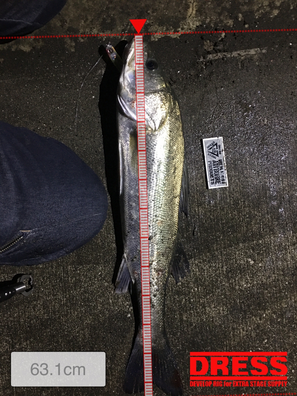 11633_0_210111f00341e88b20669fd6302b2e96