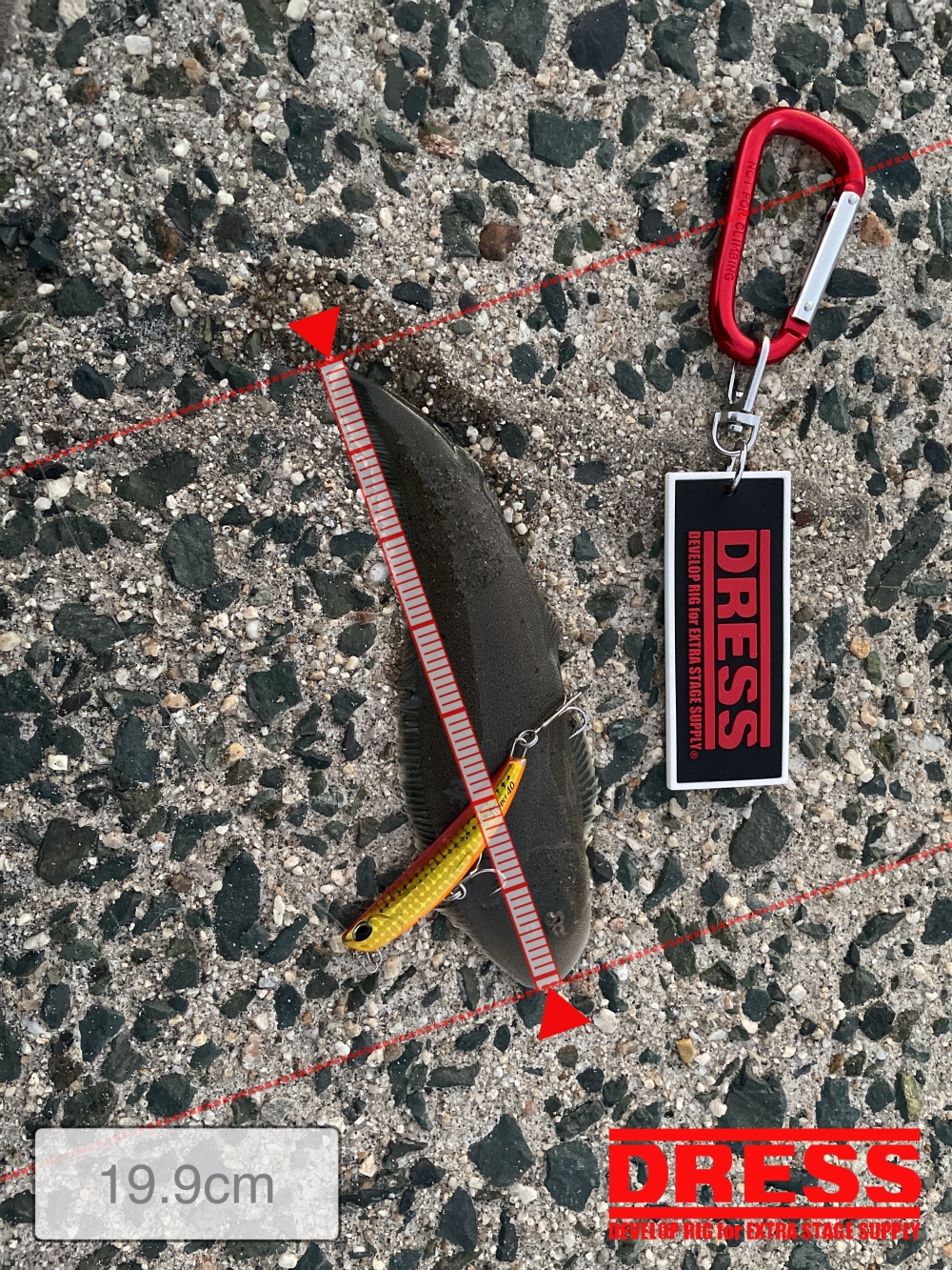 11635_0_0bf11715002535ef23d30077152a1167