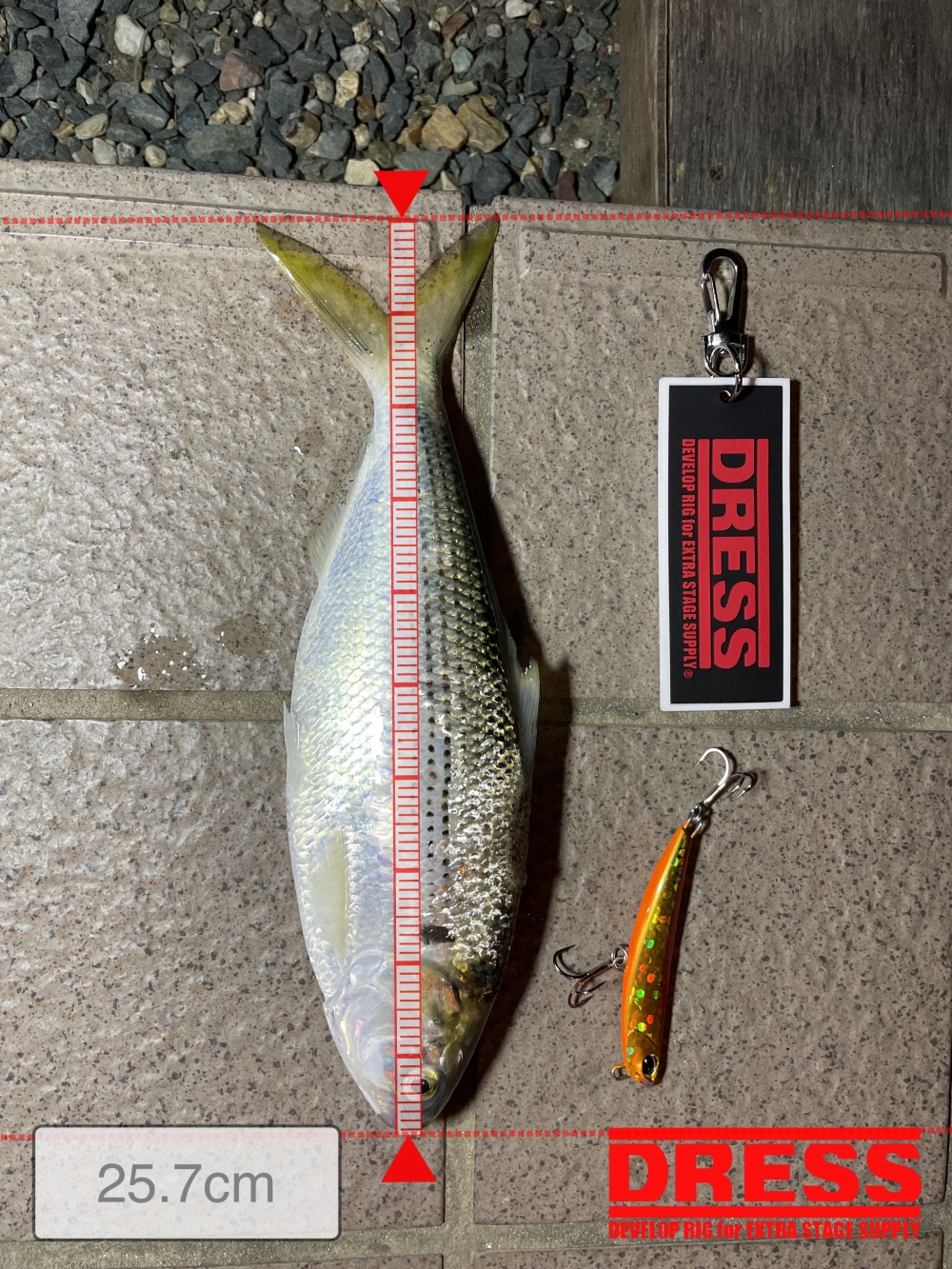 11635_0_f8fda740792caf83b3d41692d935f2ee